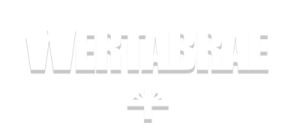 vertabrae footer logo